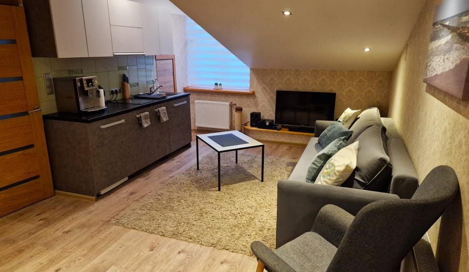TV and multimedia, Coffee/tea facilities, View (from property/room), Kitchen or kitchenette, Seating area, stove