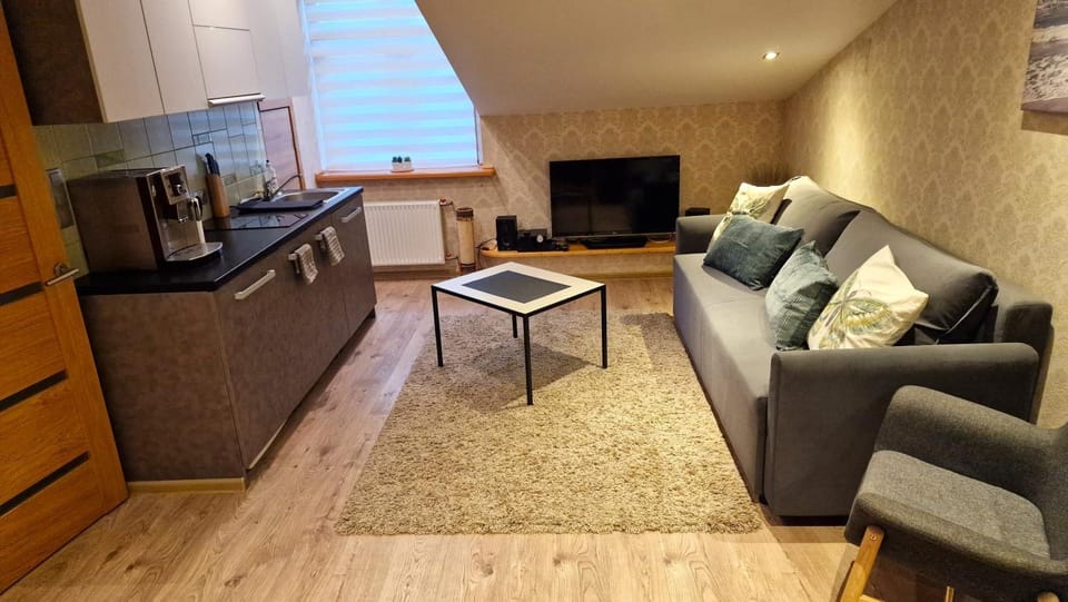 TV and multimedia, Kitchen or kitchenette, Living room, Photo of the whole room, Seating area, stove