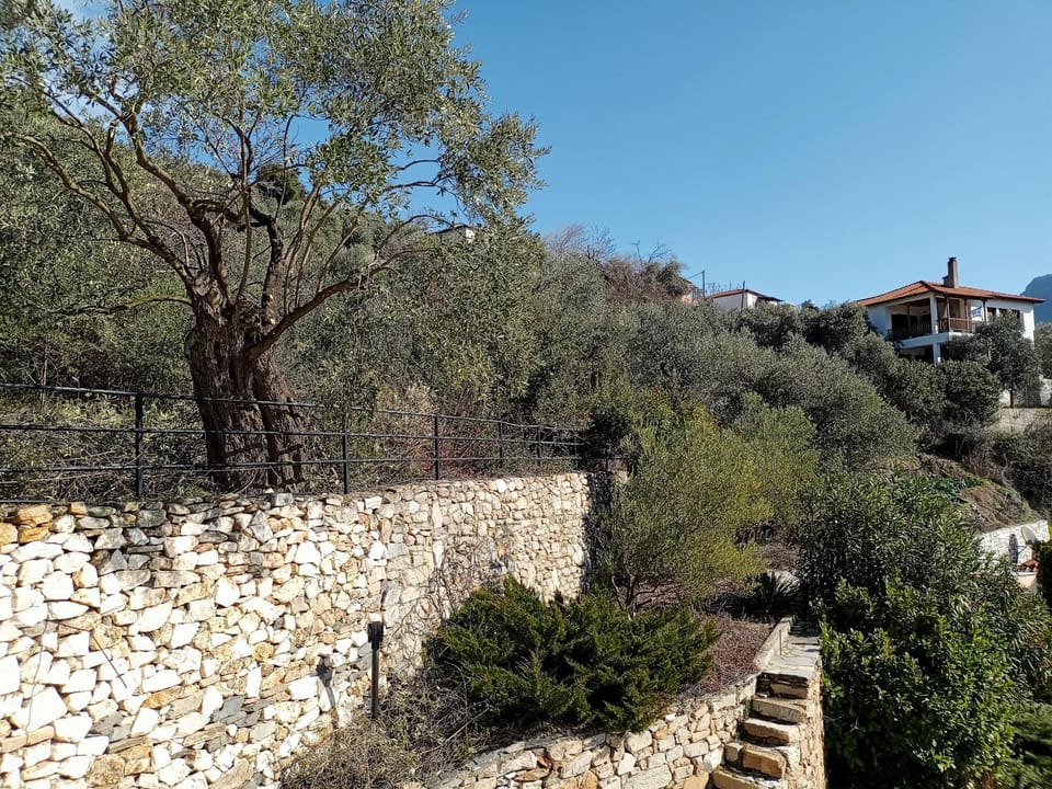 Natural landscape, Garden