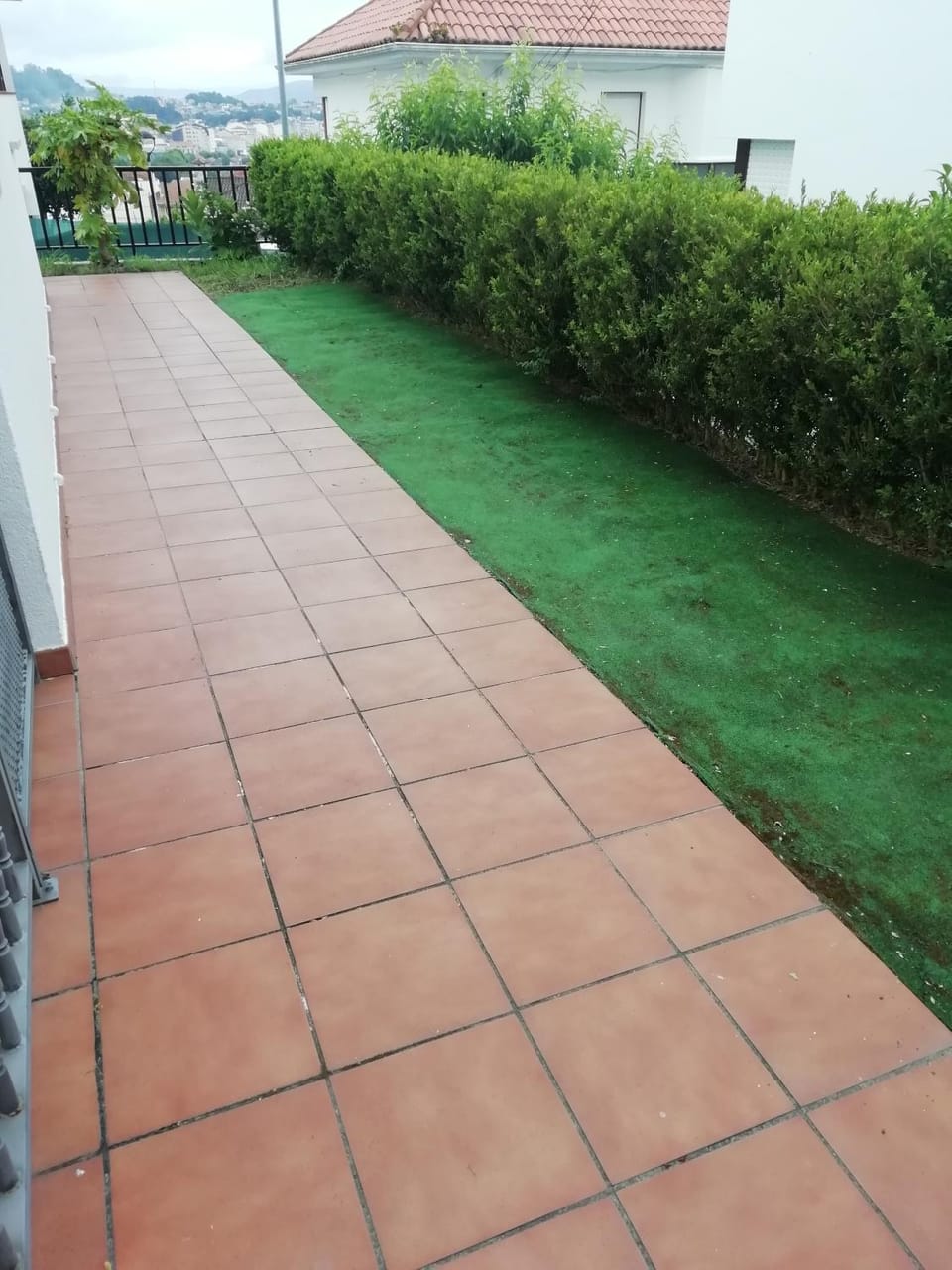 Day, Garden