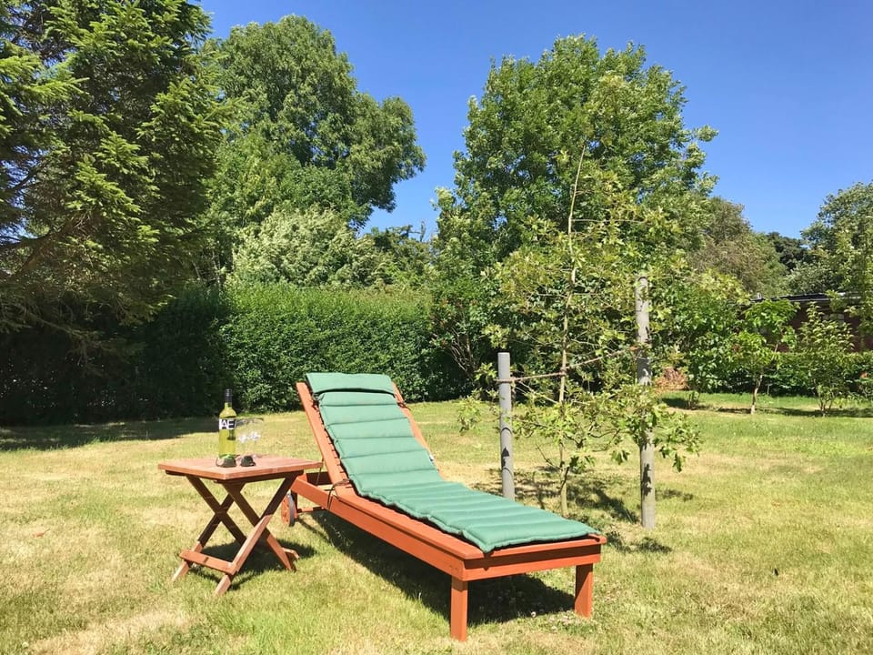 Day, Natural landscape, Garden, sunbed