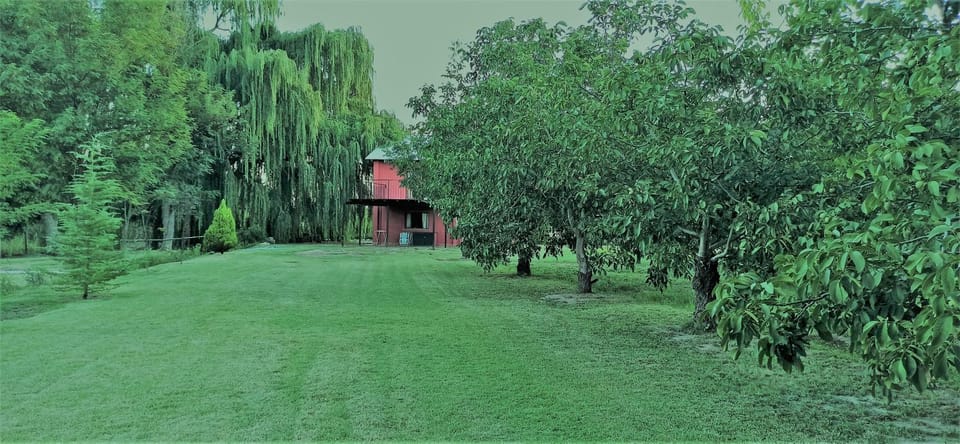 cabaña Claro de Luz en finca Margarita House in Mendoza Province Province