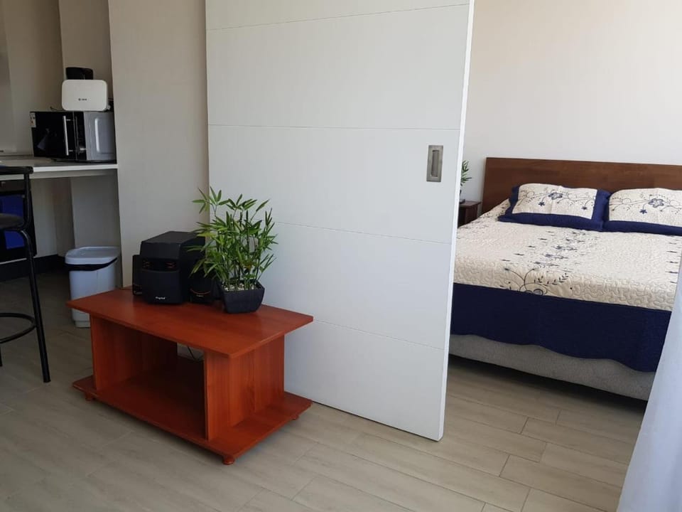 A pasos de Metro Ecuador Linea 1 Apartment in Santiago