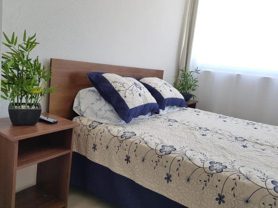 A pasos de Metro Ecuador Linea 1 Apartment in Santiago