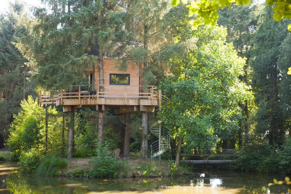 Natural landscape, Garden view