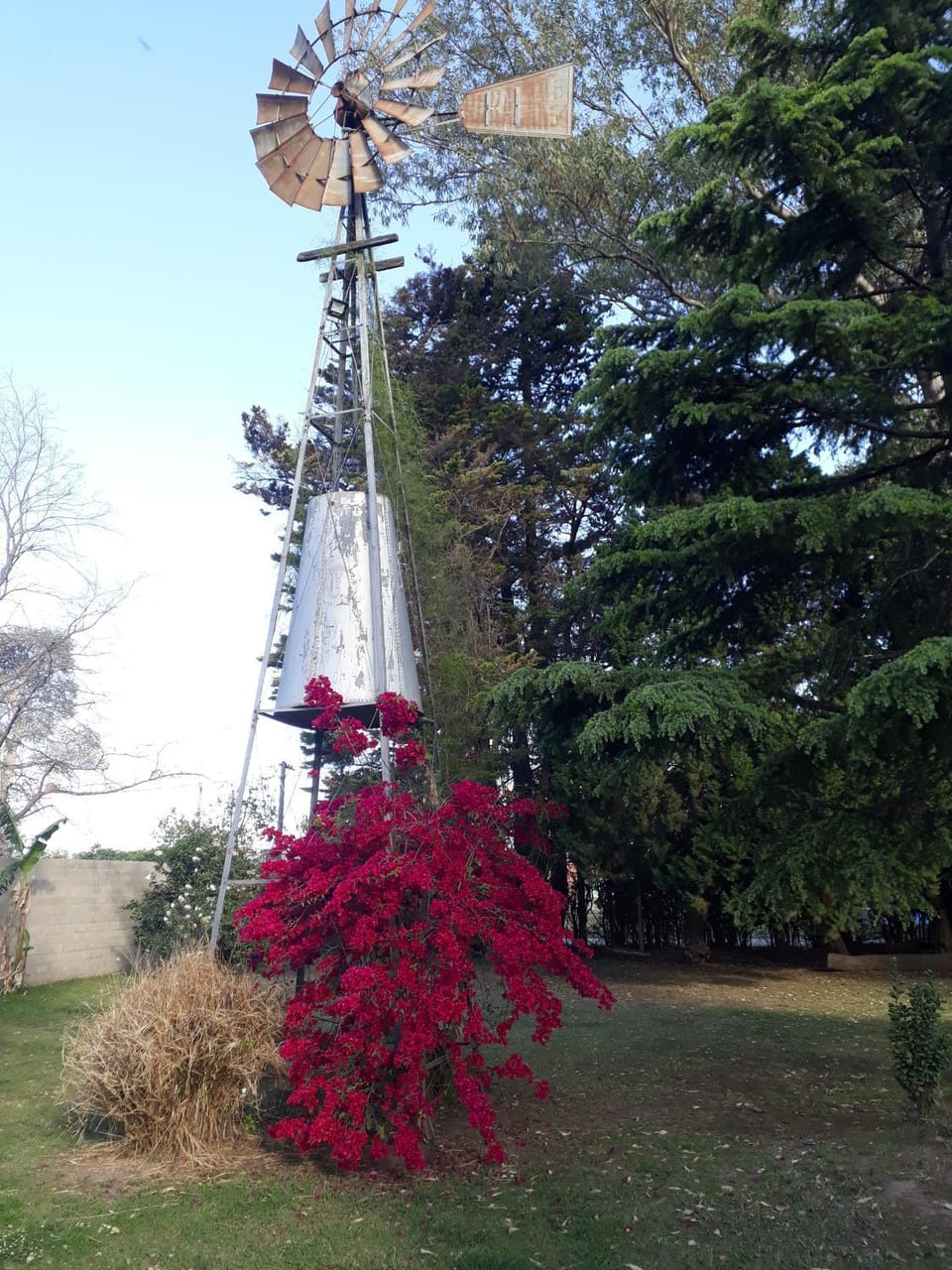Los Cabre Campground/ 
RV Resort in San Pedro