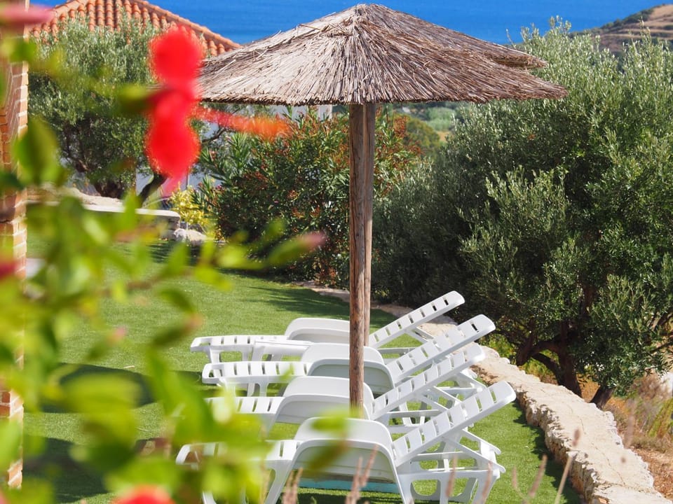 Garden, View (from property/room), sunbed