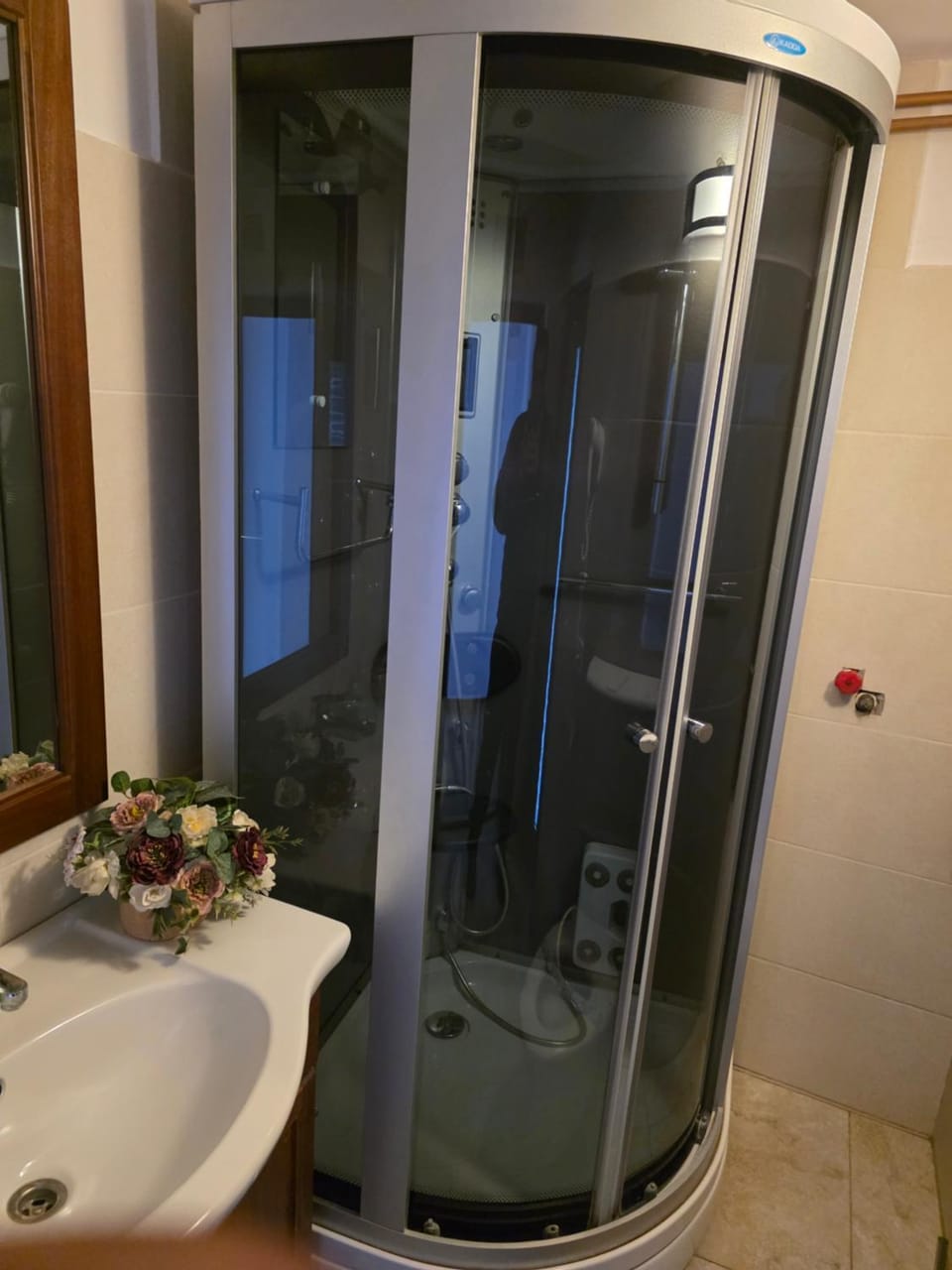 Casa Brutarului Crit Bed and Breakfast in Brașov County