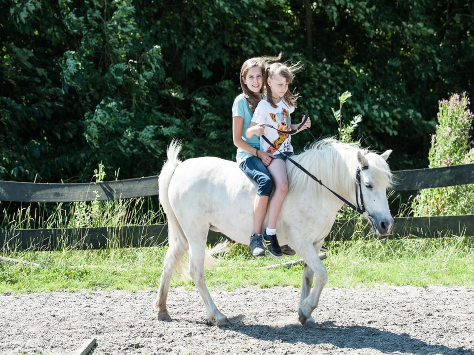 People, Animals, children