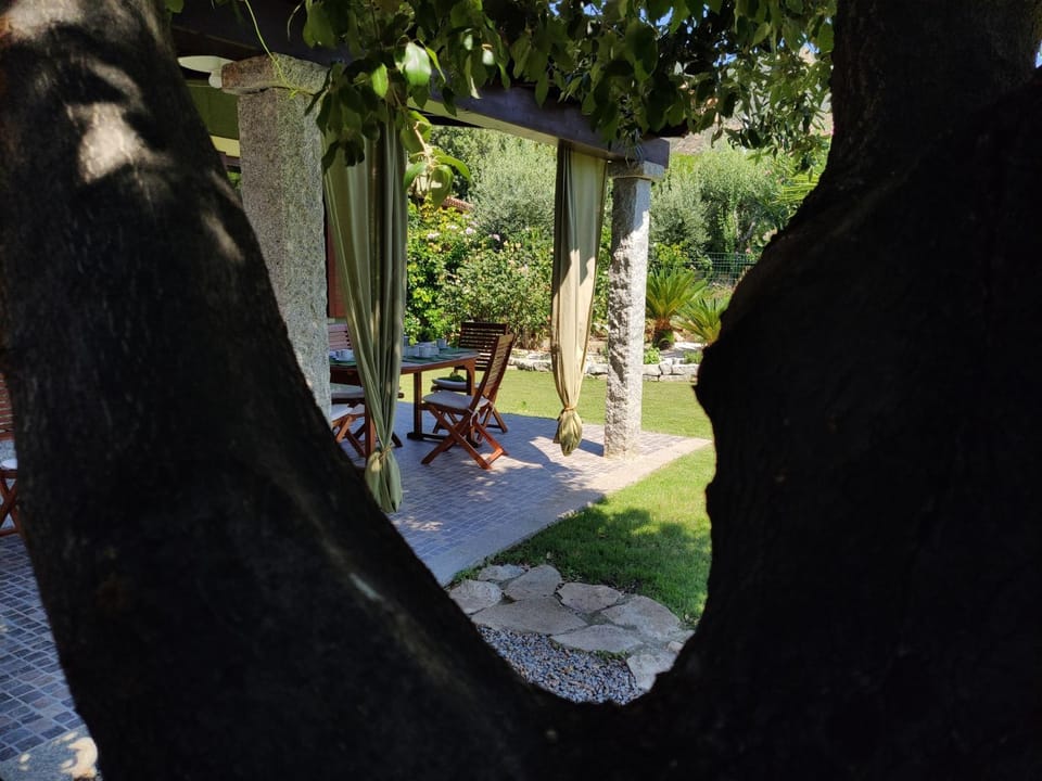 Patio, Garden