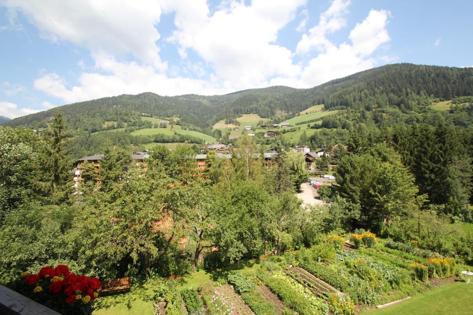 Summer, Garden, Mountain view, Area and facilities