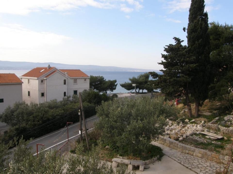 Patio, Garden, Garden view