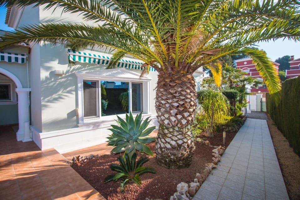 Patio, Garden, Garden view