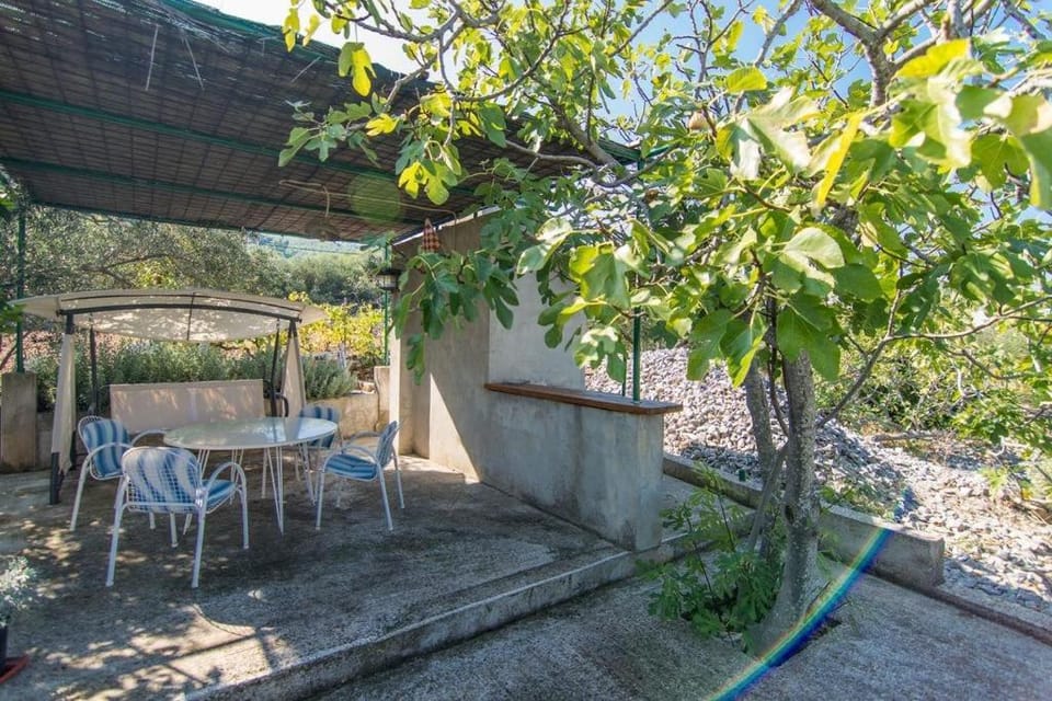 Patio, Garden, Garden view