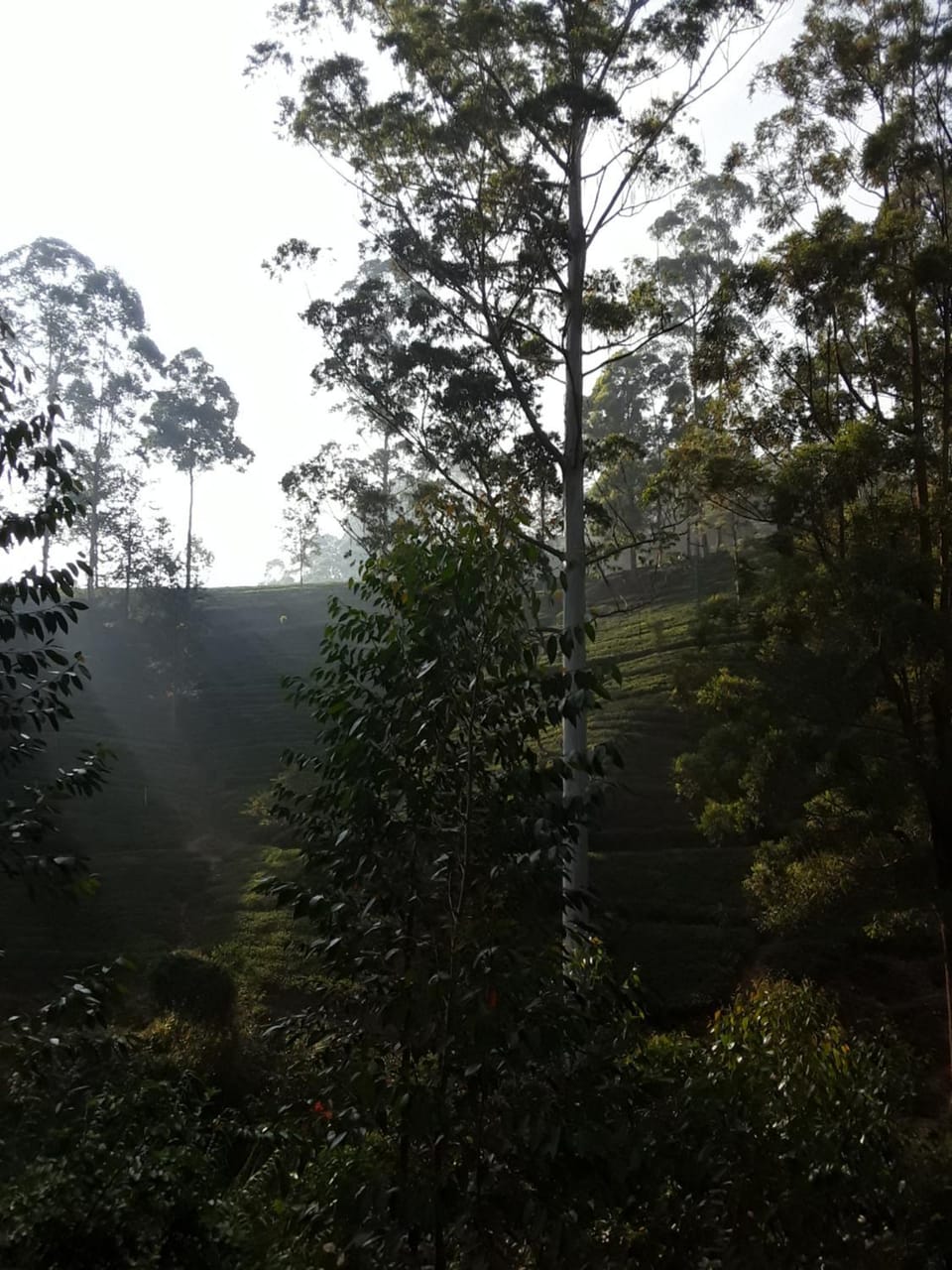 Natural landscape, City view
