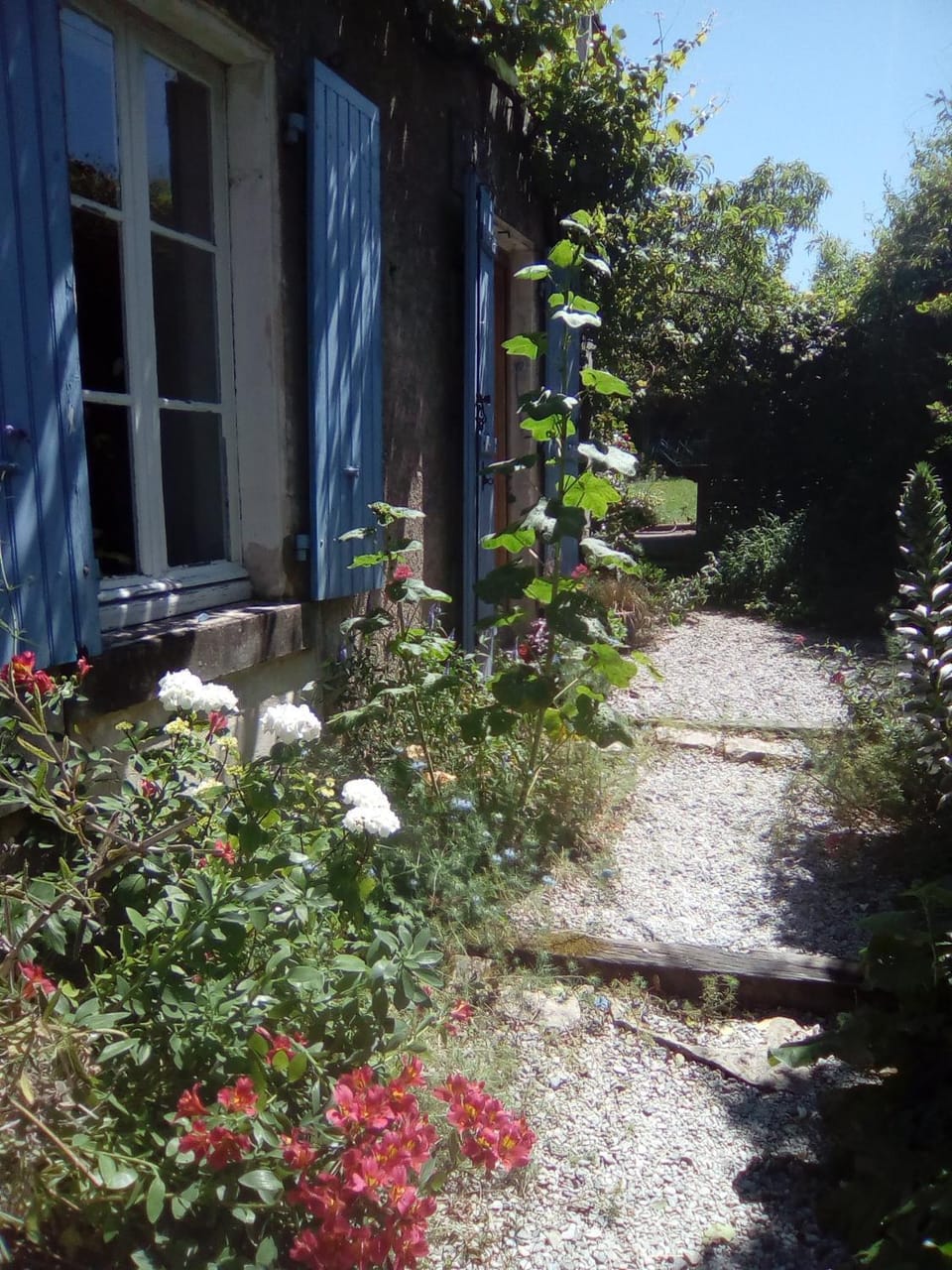 Garden view