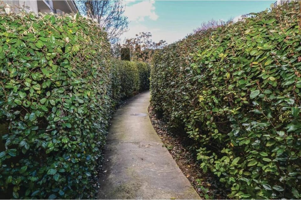 Appartement des amoureux Apartment in Uzes