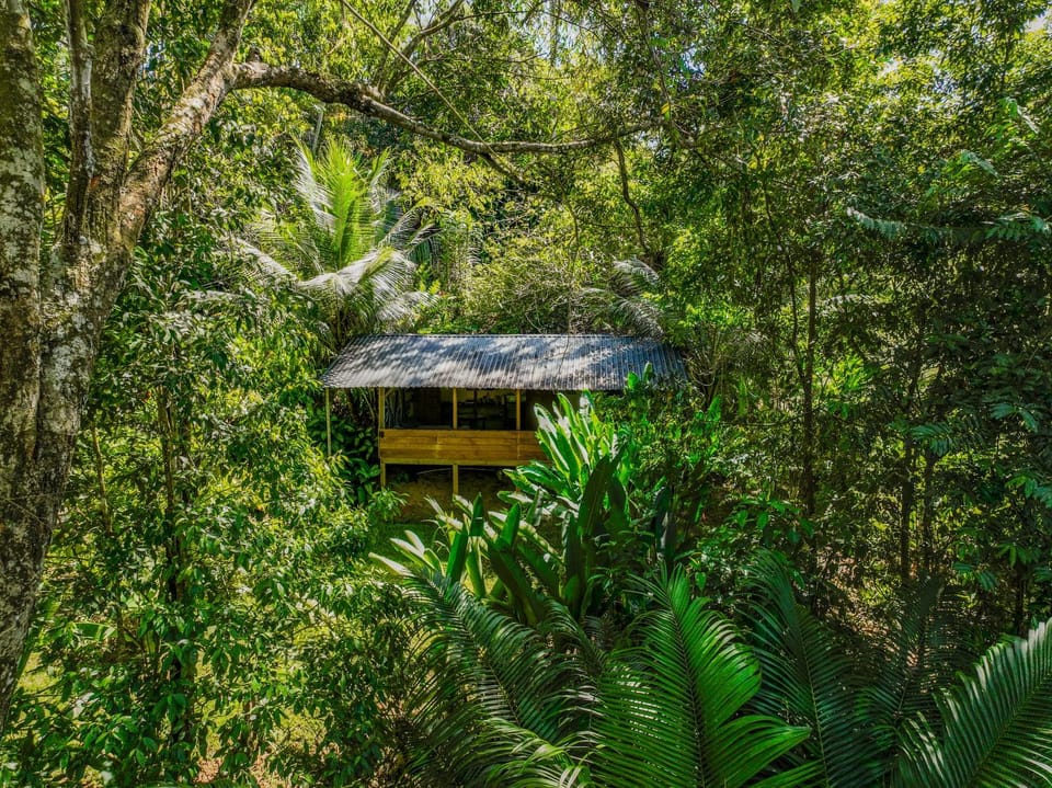 Private jungle “Loft del Rio” river access Nature lodge in Bahía Ballena