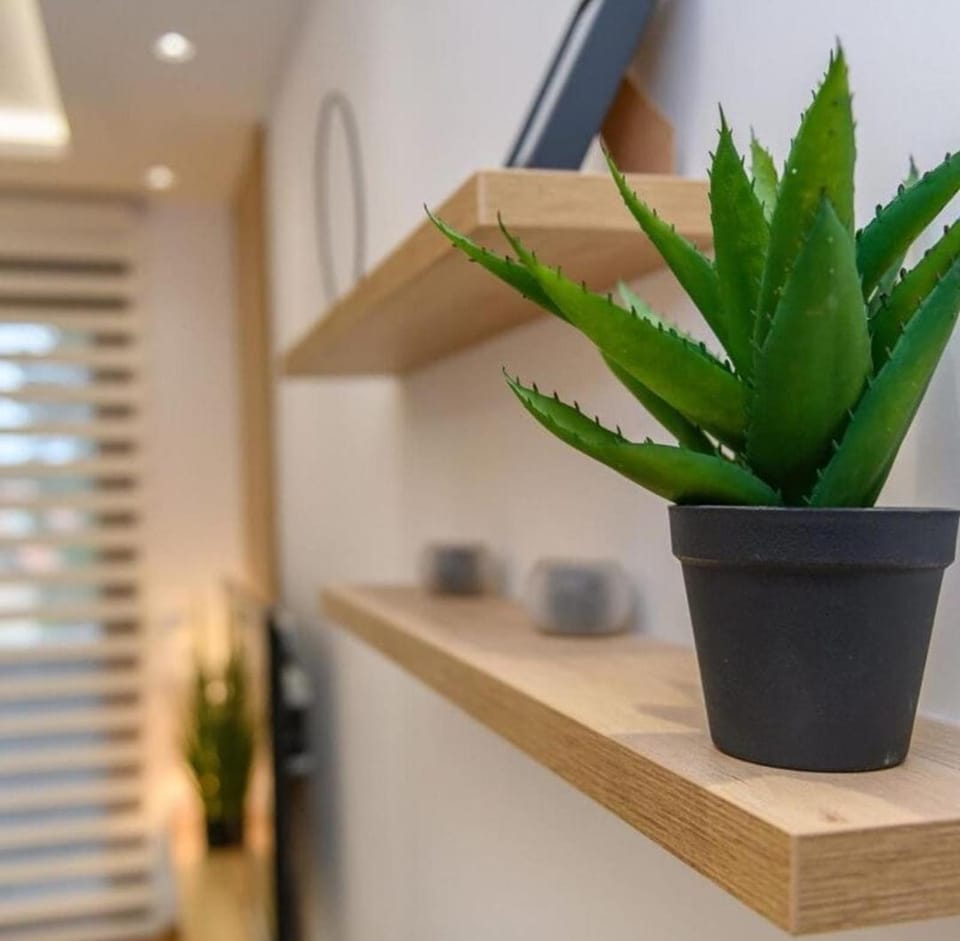 GOMAX Apartmani Zlatibor Apartment in Zlatibor