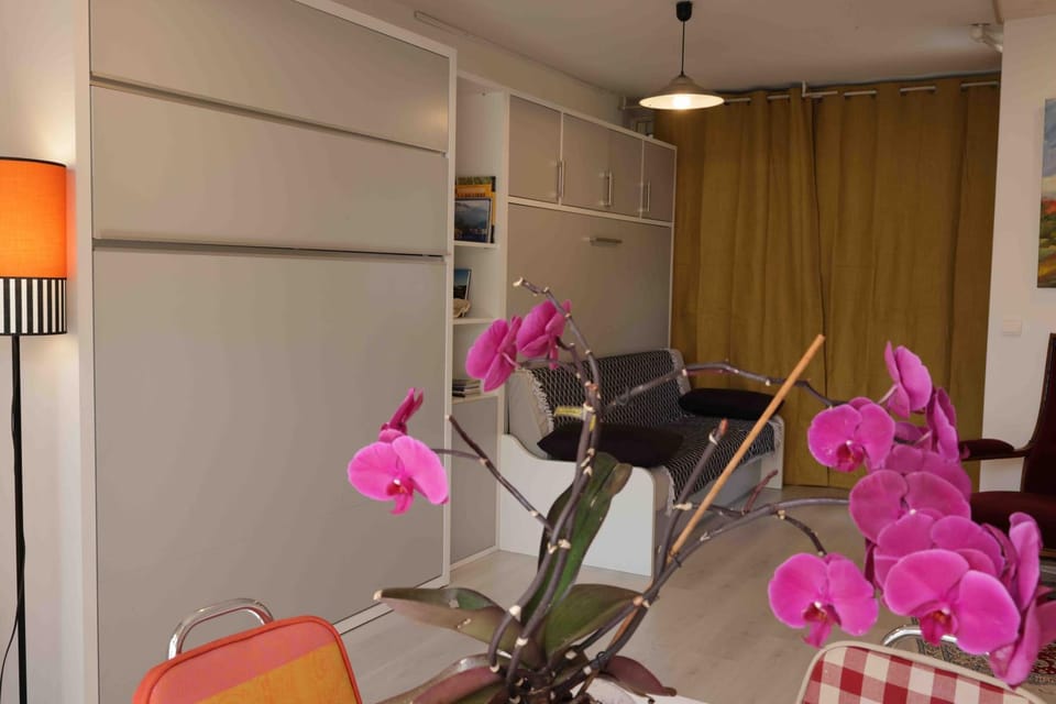 Le VISCOS à AGOS-VIDALOS Apartment in Occitanie