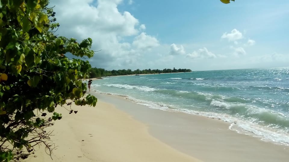 Maison CÉCILIA House in Grande-Terre, Guadeloupe