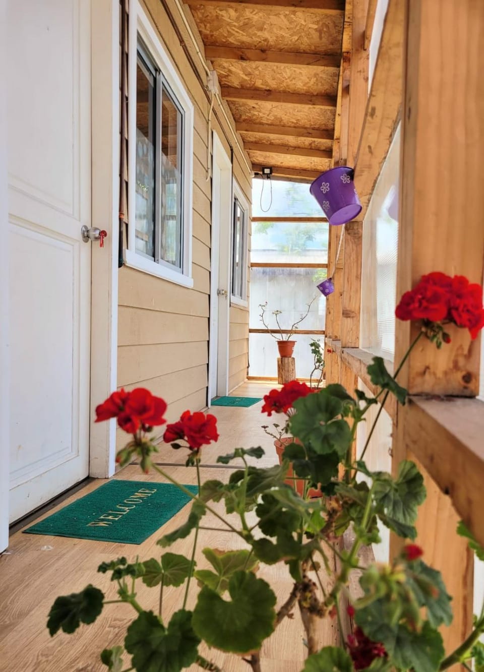 Garden view