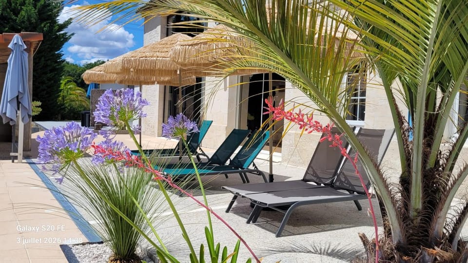 Patio, sunbed