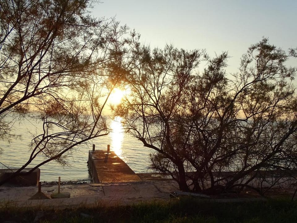Garden, Beach, Sunset