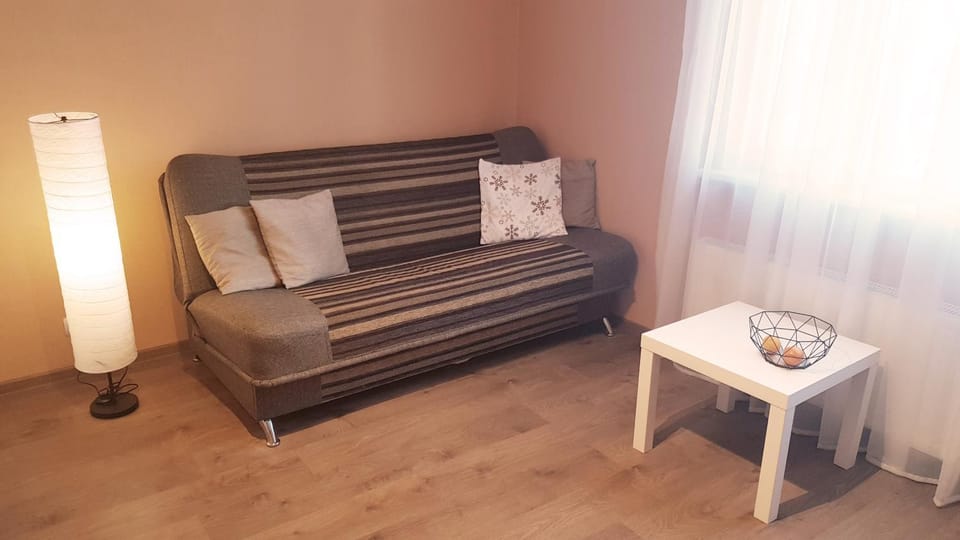 Birch view apartment Apartment in Latvia