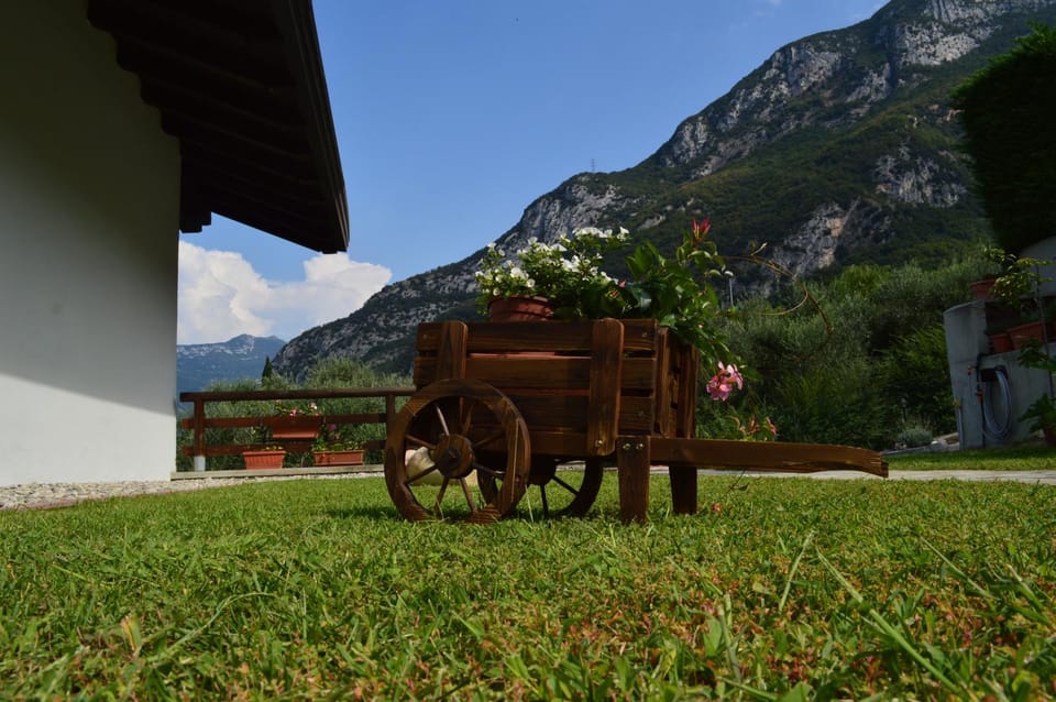 Garden, Mountain view