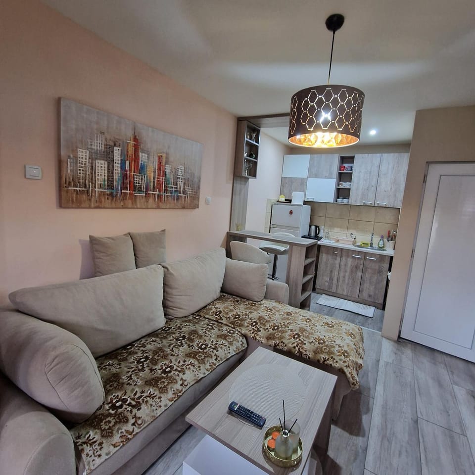 Square Apartment Apartment in Serbia