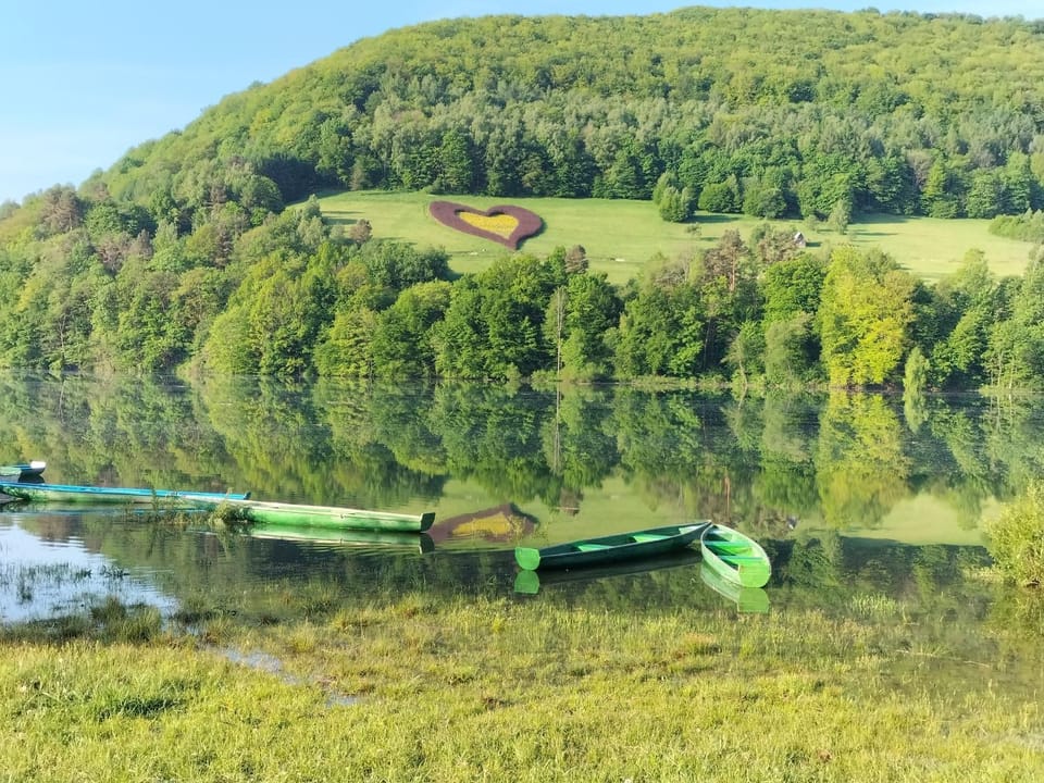 Natural landscape, River view