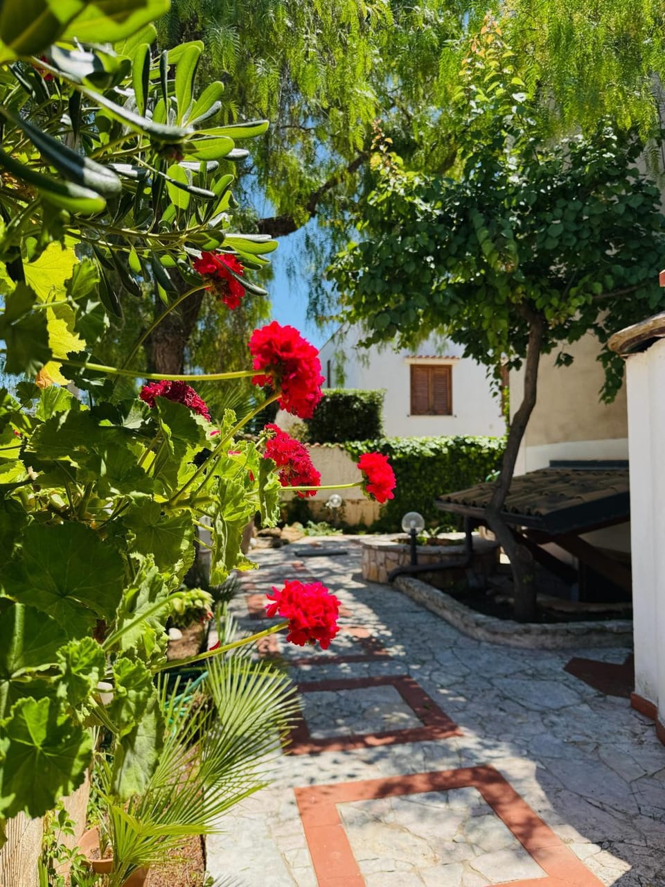 Garden view