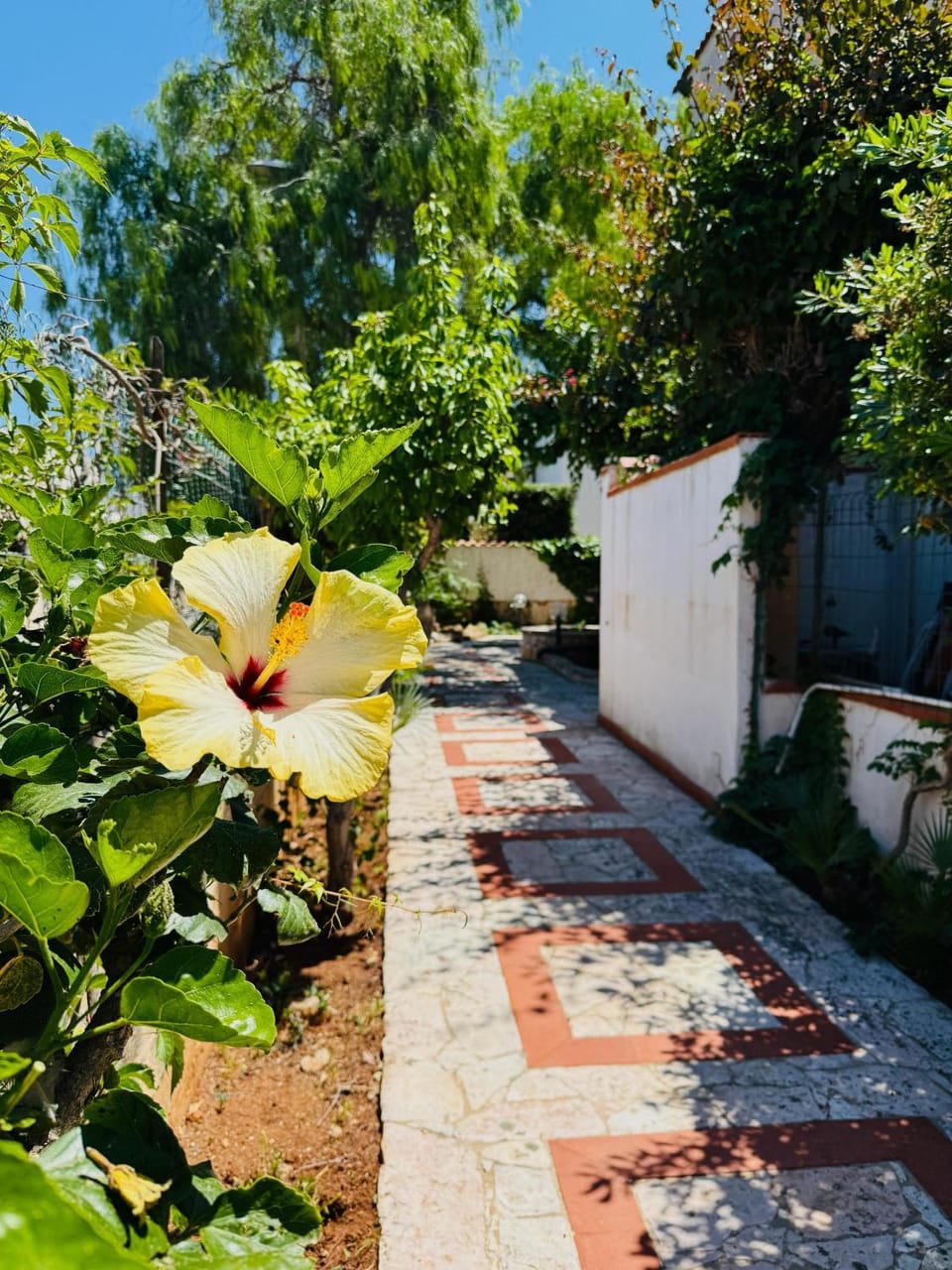 Garden view