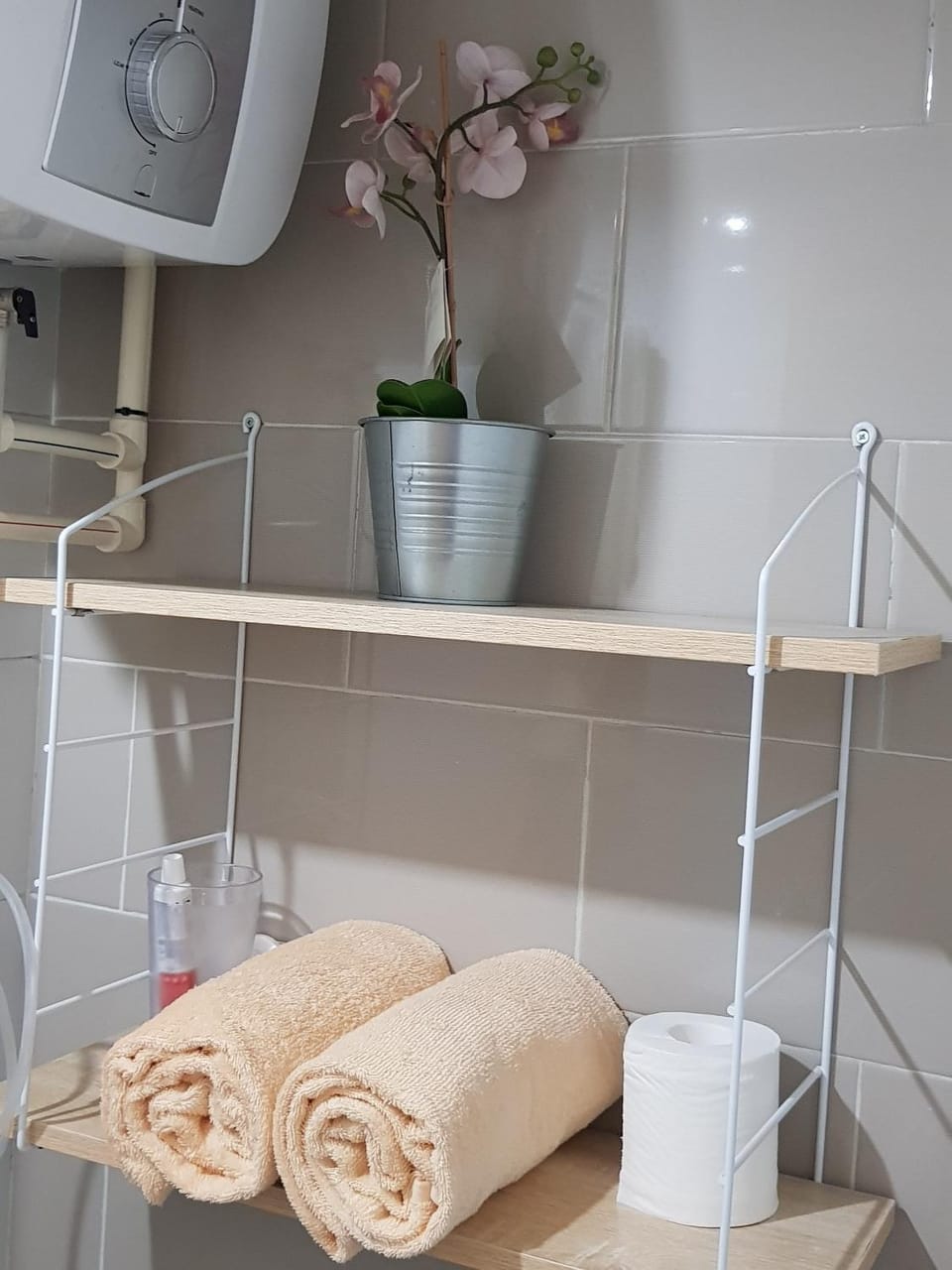 Shower, Toilet, Property building, Bathroom