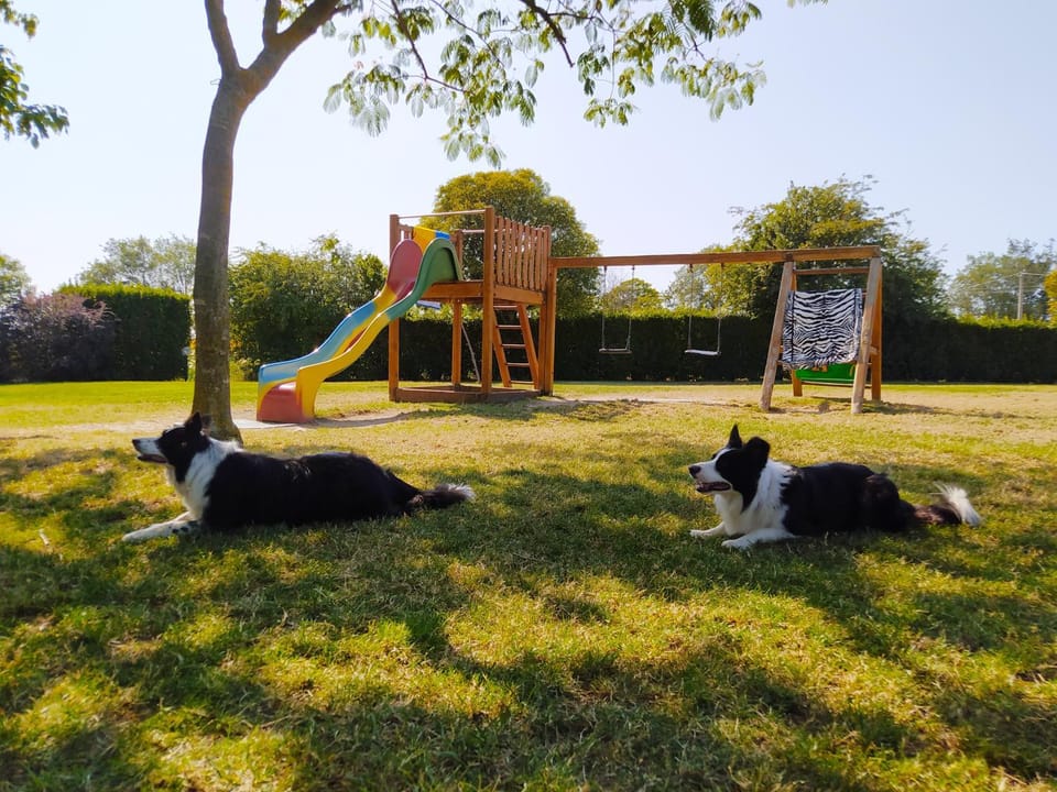 Natural landscape, Pets