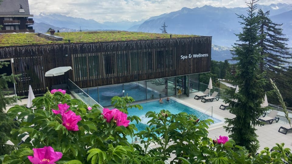 Spa and wellness centre/facilities, Swimming pool