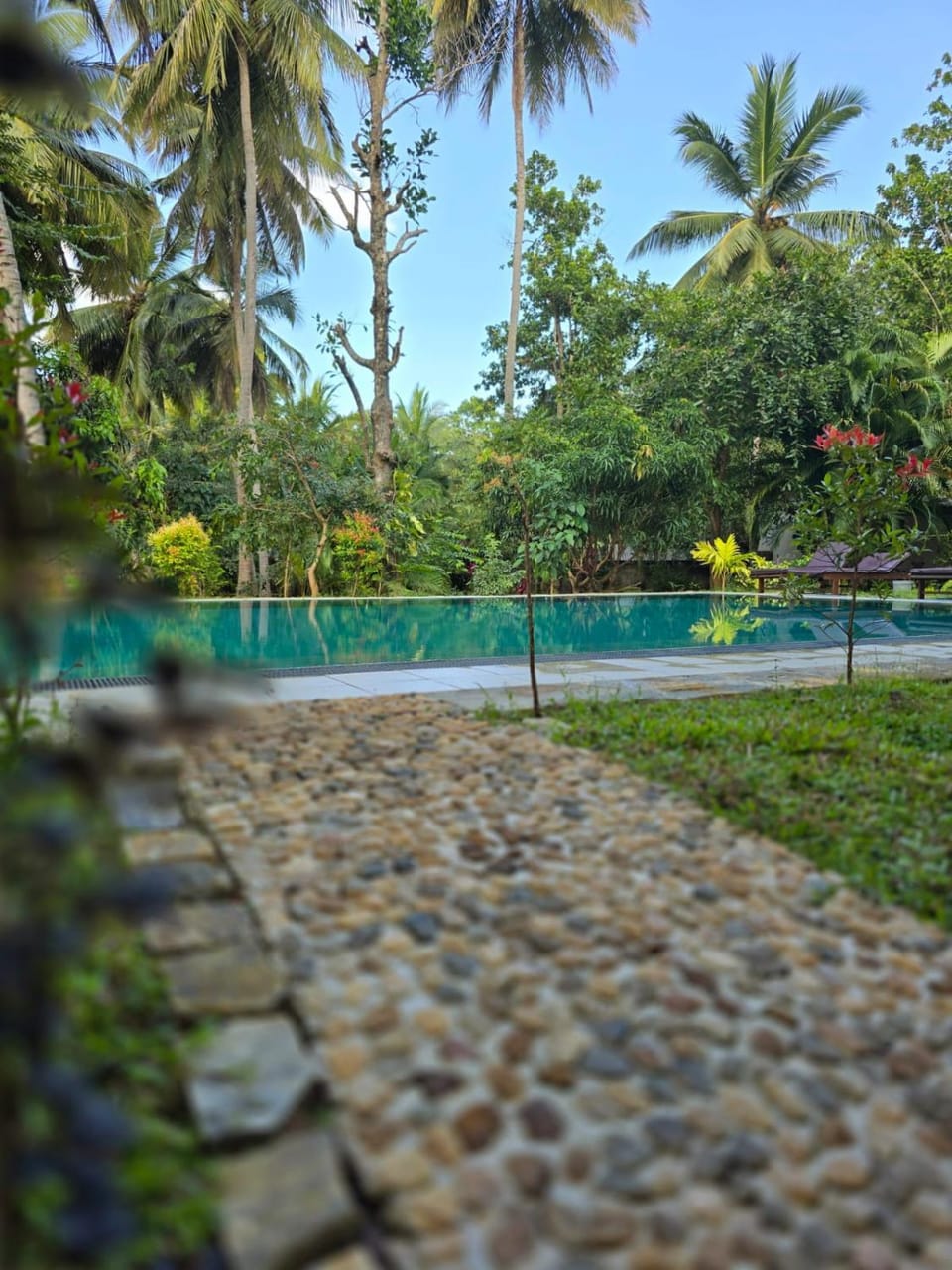 La Dolce Vita Hotel in Dambulla