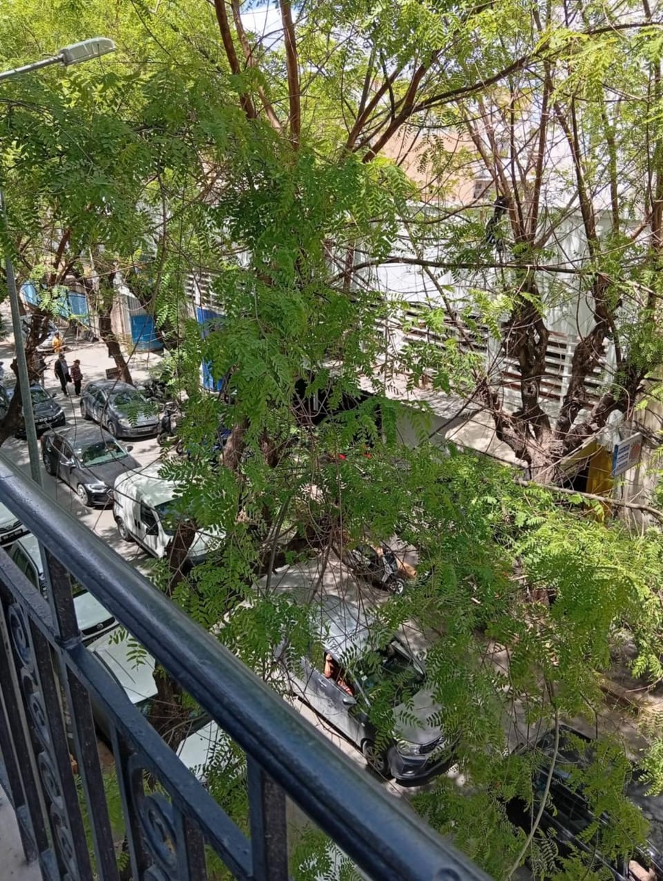 View (from property/room)