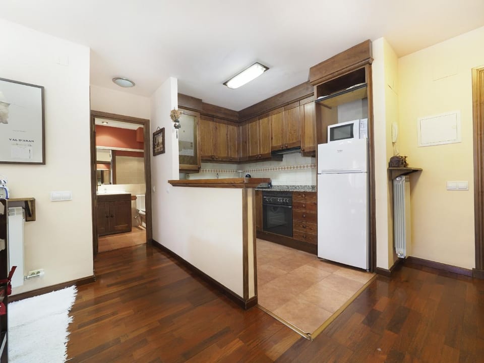 Apartamento MALADETA Apartment in Vielha