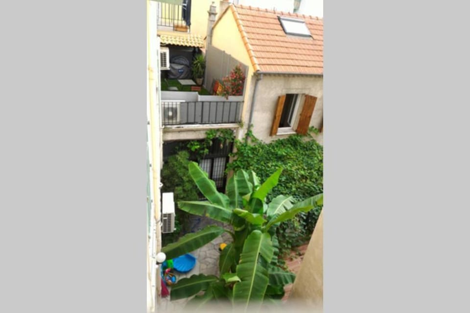 Patio, Garden view