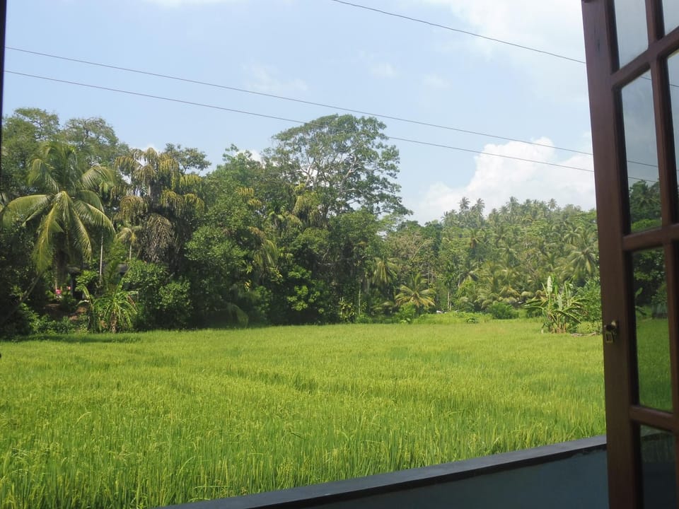 Garden view
