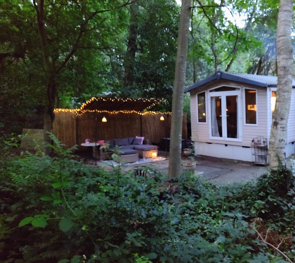 Chalet met veranda aan bosrand House in Drenthe (province)