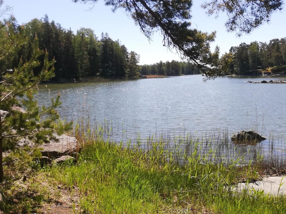 Natural landscape
