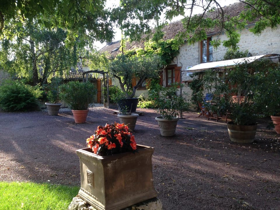 Patio, Garden