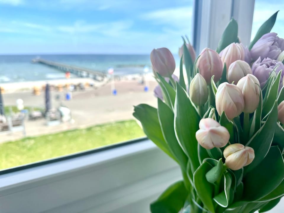 Traum Ostseemeerblick Apartment in Schleswig-Holstein