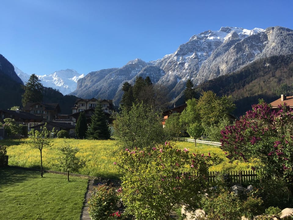 Holidayapartment Sydach Apartment in Interlaken