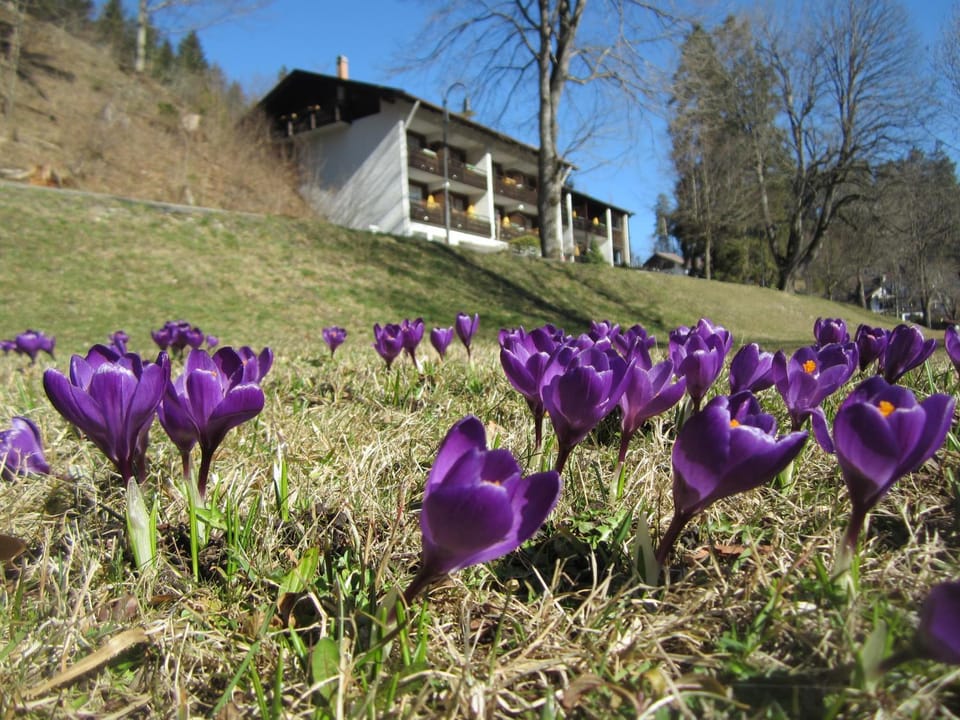 Property building, Spring, Natural landscape