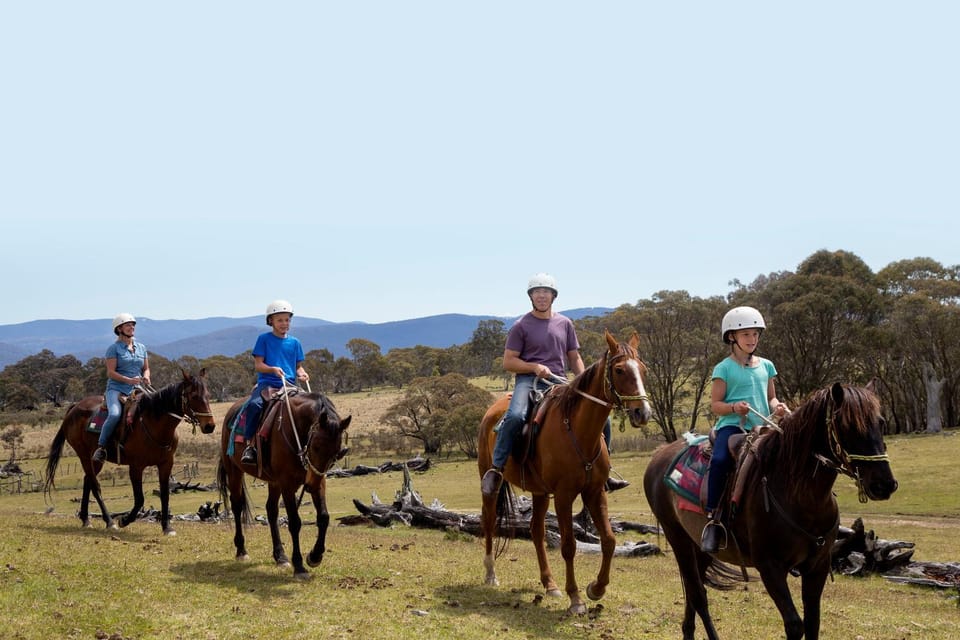 Natural landscape, Horse-riding