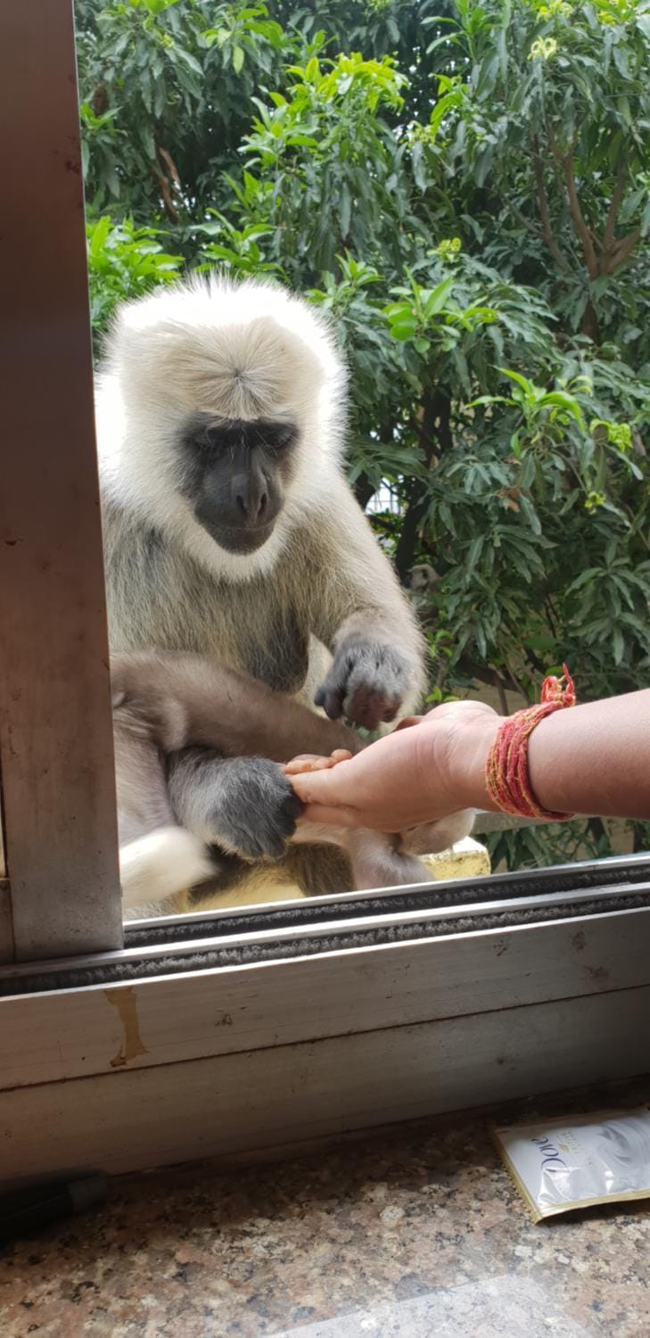 Tebaar Backpackers Hostel in Rishikesh